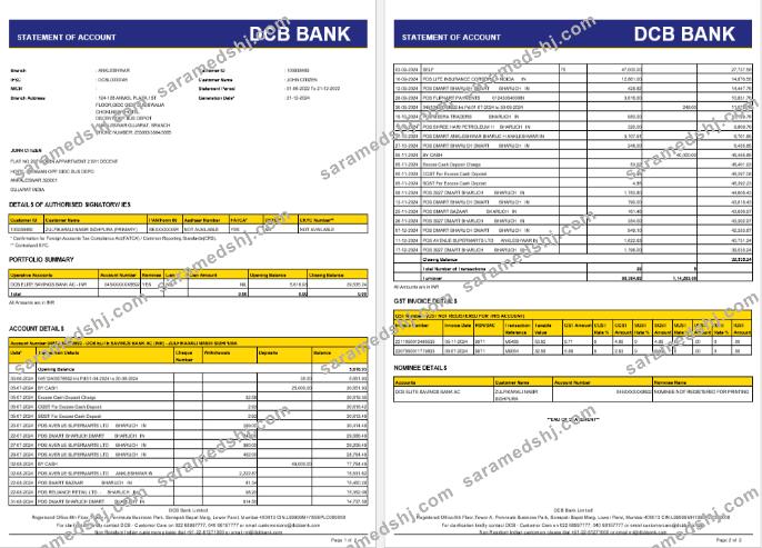 India DCB bank statement Word and PDF template, 2 pages